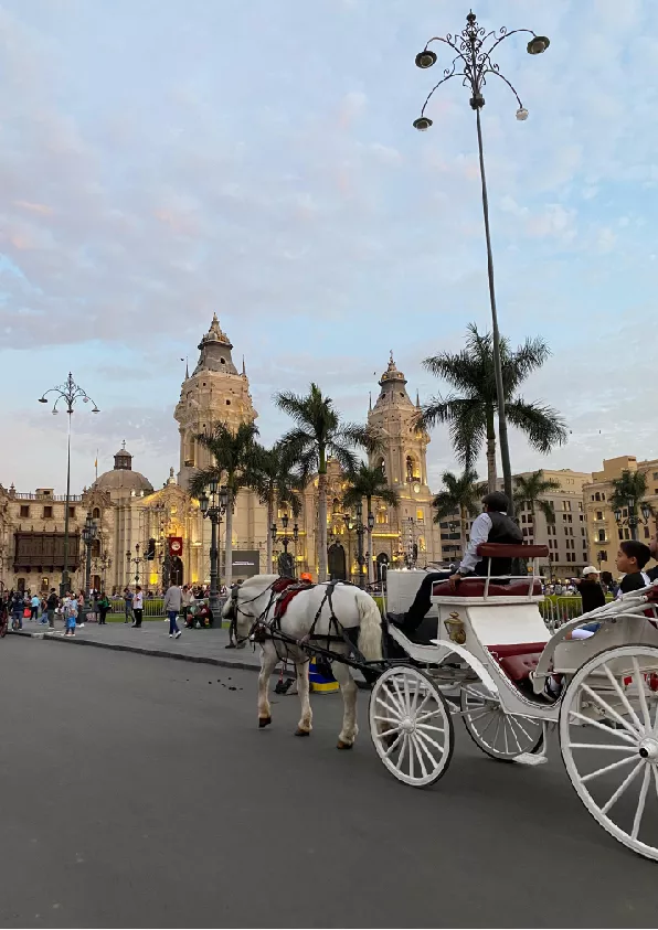Fotos Turistas-11